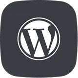 スキルアイコン：WP